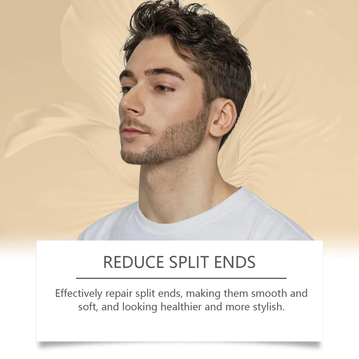 Beard Oil for Men — Cedarwood & Jojoba with Vitamin E | Softening & Beard Growth Care