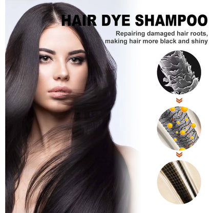 EELHOE Black Hair Dye Shampoo