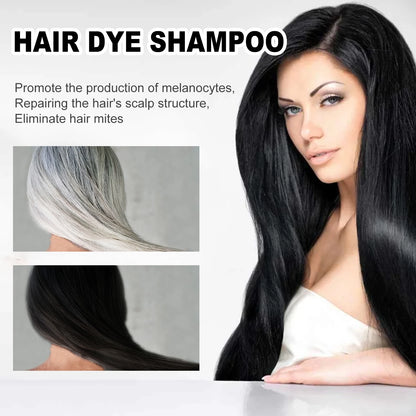 EELHOE Black Hair Dye Shampoo